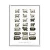 Stupell Industries Farm Animal Breeds Pigs Sheep Diagram Chart, Design by Lettered and Lined view 1