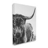 Stupell Industries Highland Cow Cattle Horn Close Up Serene Photography, Design by Dakota Diener, Gallery Wrapped Canvas, 16 x 20 view 2