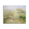 Stupell Industries White Blossom Tree Orchard Field Impressionist Brushstrokes, Design by Lettered and Lined view 1