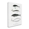 Stupell Industries Nautical Sea Life Whales Narwhal Marine Drawings, Design by Lettered and Lined view 2