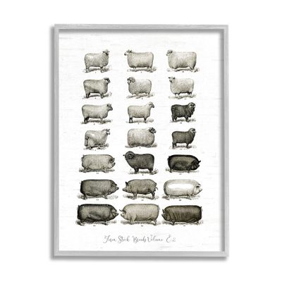 Stupell Industries Farm Animal Breeds Pigs Sheep Diagram Chart, Design by Lettered and Lined