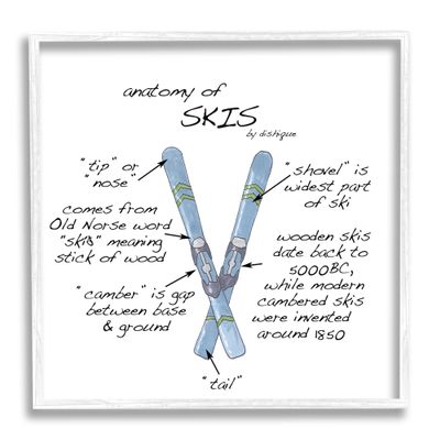 Stupell Industries Anatomy of Skis Winter Sports Diagram Facts Chart, Design by Dishique