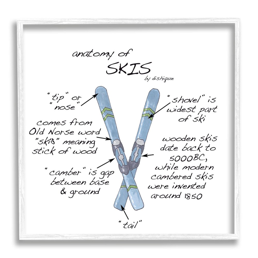 Stupell Industries Anatomy of Skis Winter Sports Diagram Facts Chart, Design by Dishique