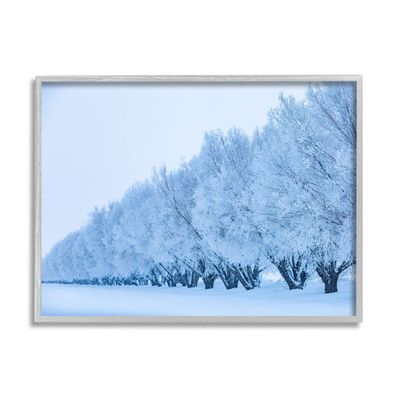 Stupell Industries Winter Tree Grove Snow Covered Branches Photography, Design by Steve Smith