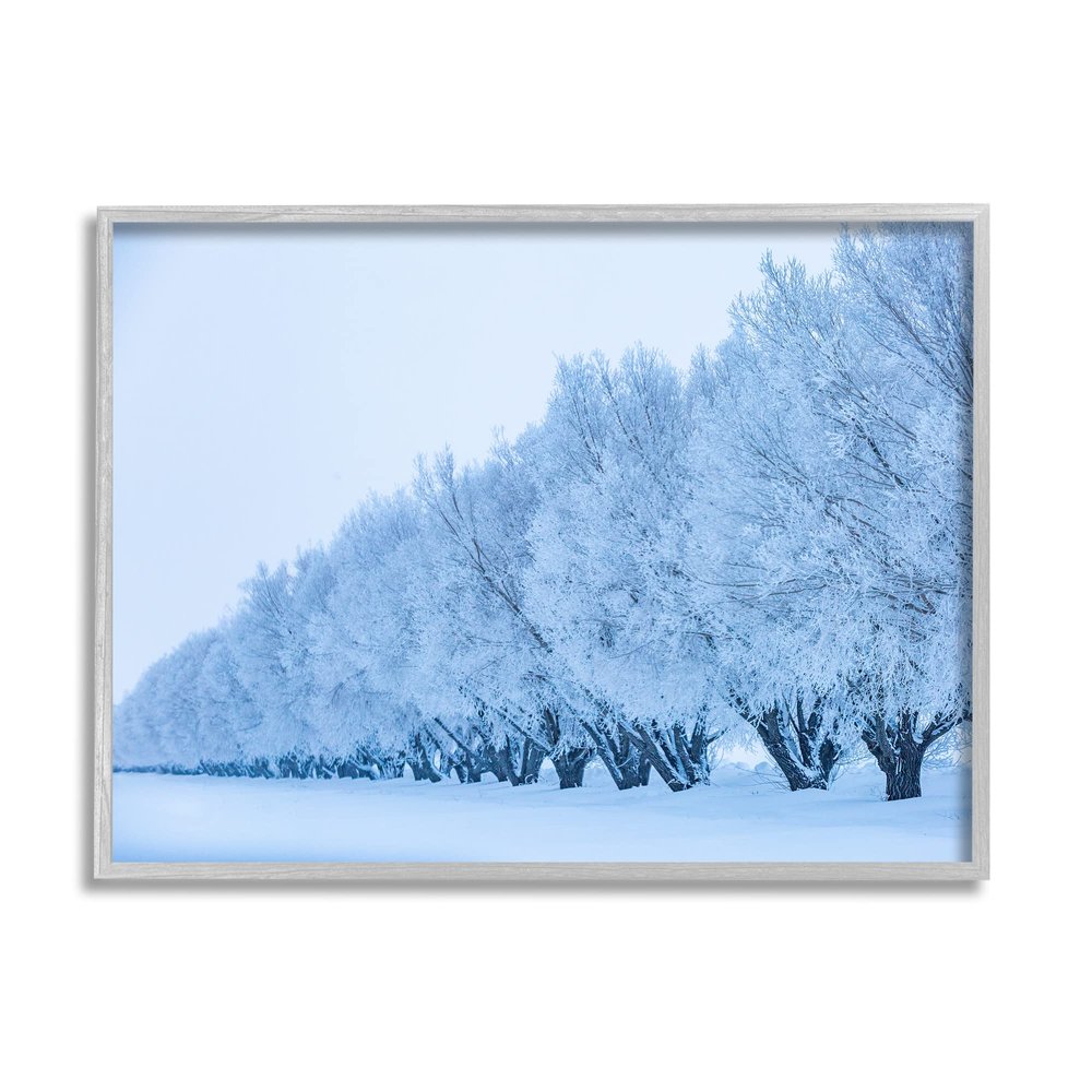 Stupell Industries Winter Tree Grove Snow Covered Branches Photography, Design by Steve Smith