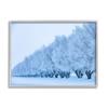 Stupell Industries Winter Tree Grove Snow Covered Branches Photography, Design by Steve Smith view 1