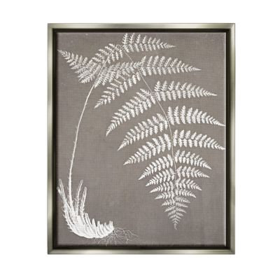 Stupell Industries Fern Leaves Roots Growing Botanicals Neutral Tones, Design by Graffitee Studios