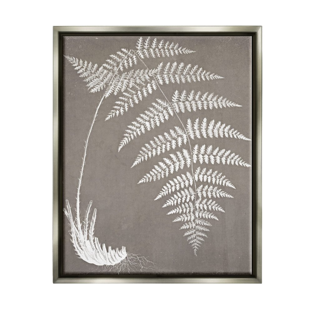 Stupell Industries Fern Leaves Roots Growing Botanicals Neutral Tones, Design by Graffitee Studios