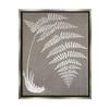 Stupell Industries Fern Leaves Roots Growing Botanicals Neutral Tones, Design by Graffitee Studios view 1