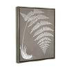 Stupell Industries Fern Leaves Roots Growing Botanicals Neutral Tones, Design by Graffitee Studios view 2