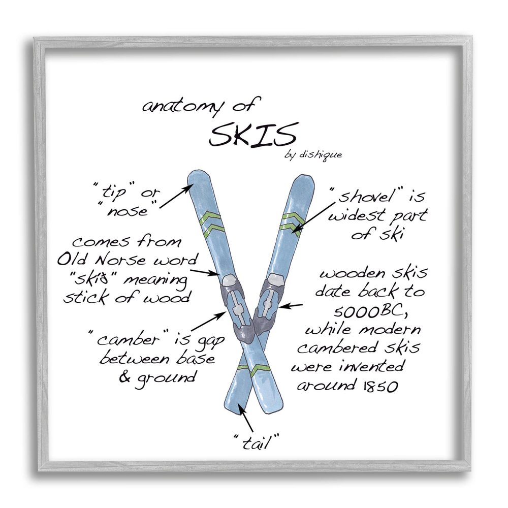 Stupell Industries Anatomy of Skis Winter Sports Diagram Facts Chart, Design by Dishique