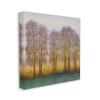 Stupell Industries Warm Sunset Sky Trees Silhouettes Nature Scene, Design by Tim OToole view 2