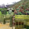 Camouflage Net 2x3m 2x4m 2x6m 3x3m 3x4m 3X5m 4x8m 5x5m 8x8m 10x10m, Camouflage Net German Army for Outdoor Camping Hunting Garden Photography view 3