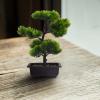 1pc Artificial Pine Potted Plant Artificial Bonsai Pine Tree Trees Outdoor Fake Plant Indoor Realistic Fake Decor Plastic mini view 3