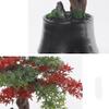 Artificial Bonsai Tree Creative Artificial Bonsai Tree with Ceramic Flower Pots Red and Green Leaves Fake Plant Decor for Office and Home Living Room Fake Plants view 3