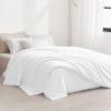 THXSILK Silk Comforter Duvet Quilt for Spring Fall Autumn 100% Long Strand 6A Mulberry Silk Floss Filling with Cotton Shell Filled Spring Fall Comforter Ultra Soft Light Weighted, White, Twin view 4