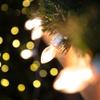 Northlight C7 Christmas String Lights - Clear - 24' White Wire - 25ct view 4