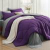 Bedsure Queen Comforter Set - 7 Pieces Reversible Purple Bedding, Queen Size Bed Set for All Seasons, Bed in a Bag with Down Alternative Comforter, Sheets, Pillowcases & Shams view 1