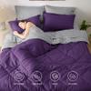 Bedsure Queen Comforter Set - 7 Pieces Reversible Purple Bedding, Queen Size Bed Set for All Seasons, Bed in a Bag with Down Alternative Comforter, Sheets, Pillowcases & Shams view 2