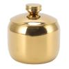 Aqur2020 Stainless Steel Gold Seasoning Pot, Salt Sugar Container Jar with Lid Storage Storage Box Suitable for Kitchen (Gold) view 1