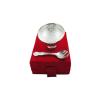 Deco Alankaram Presents Alloy Bhuvanpati Ganesha Hand Paint Pooja Aarti Thali Set, Multicolour (12 Inch) #Frienemy-260 view 1
