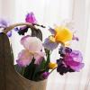 Rustic Reach Artificial Iris Flower Stem 31.5" Tall Purple/Five Stems view 1