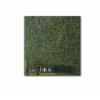 Gustav Klimt-Park 1910 Canvas Wall Art Poster Home Decor (75x75cm 30"x30",Unframed) view 1