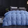 9.8 Newton Luxury 1600-TC Pinch Pleated Down Comforter California King Size 102 x 96 Inches 1-Piece All-Season Duvet Insert, 850 GSM Micro Fill with All Side Corner Tabs 100% Egyptian Cotton view 1