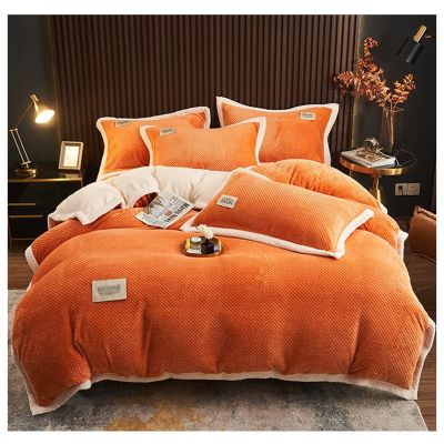 ZTGL Super Warm Flannel Fleece Quilt Winter Blanket 3-6.2 Kg Double-Sided Velvet Quilt Thickened Warm Autumn Spring Plush Comforter Core with Quilt Cover,Orange,200x230cm(6kg)