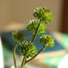 Rustic Reach Artificial Plant Faux Succulent Stem Set in Green 13" Tall Set of 15 view 1