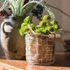 Rustic Reach Artificial Plant Faux Succulent Stem Set in Green 13" Tall Set of 15 view 3