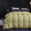 Modern Design 1600-TC Pinch Pleated Down Comforter Super King Plus 120x120 inches 1-Piece All-Season Duvet Insert, 850 GSM Micro Fill with All Side Corner Tabs 100% Egyptian Cotton view 1