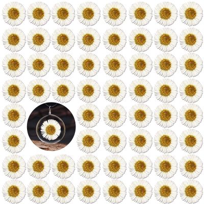 60PCS White Dried Needle Chrysanthemum Flowers for Resin Craft, Natural Pressed Dry Flowers for Resin Jewelry Candle Making Desk Lamp Craft DIY Phone Case Home Decoration