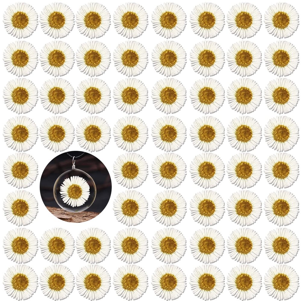 60PCS White Dried Needle Chrysanthemum Flowers for Resin Craft, Natural Pressed Dry Flowers for Resin Jewelry Candle Making Desk Lamp Craft DIY Phone Case Home Decoration