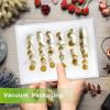 60PCS White Dried Needle Chrysanthemum Flowers for Resin Craft, Natural Pressed Dry Flowers for Resin Jewelry Candle Making Desk Lamp Craft DIY Phone Case Home Decoration view 3