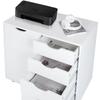 Naomi Home Drawer Storage Cabinet White/5 Drawer with Shelf  view 3
