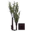 Vickerman 5' Green Mini Pine Twig Tree, Warm White 3mm Wide Angle LED Lights. view 3