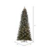 Vickerman 7.5' x 44" Frosted Douglas Fir Fir Artificial Slim Pre-Lit Christmas Tree, Warm White 3mm Low Voltage LED Wide Angle Lights. view 3