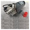 Mini Power Small Pump Stainless Steel Wort Cycle Brewing Water Pump Brewing Magnetic Water Pump Home Brew Temperature 140C 1/2" BSP/NPT (Voltage : 220V) view 2