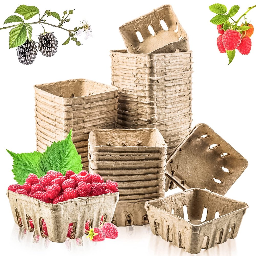 Vmiapxo 50 Pcs Small Natural Pulp Fiber Berry Baskets, 1/2 Pint