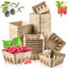 Vmiapxo 50 Pcs Small Natural Pulp Fiber Berry Baskets, 1/2 Pint view 1