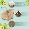Vmiapxo 50 Pcs Small Natural Pulp Fiber Berry Baskets, 1/2 Pint view 3