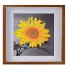 2-3/16" Deep Polystyrene Shadow Box Picture Frame - by WholesaleArtsFrames-com 9x12 2880 - Walnut - American Made view 2