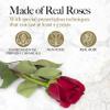 GLAMOUR BOUTIQUE 27 Flower Forever Heart Shape Box, Eternal Preserved Roses Gift for Her, Lasting Flowers, Premium Floral Heart Box for Birthday, Anniversary or Valentines Day, Red (Color-Treated) view 4