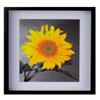 2-3/16" Deep Polystyrene Shadow Box Picture Frame - by WholesaleArtsFrames-com 30x40 2880 - Black - American Made view 2