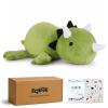 SQEQE Weighted Dinosaur Plush, Weighted Dinosaur Stuffed Animal, Dino Plushies Dino Pillow Toy Gift for Kids Adults 9.8 Inch, 0.8 Lbs view 1