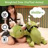 SQEQE Weighted Dinosaur Plush, Weighted Dinosaur Stuffed Animal, Dino Plushies Dino Pillow Toy Gift for Kids Adults 9.8 Inch, 0.8 Lbs view 3