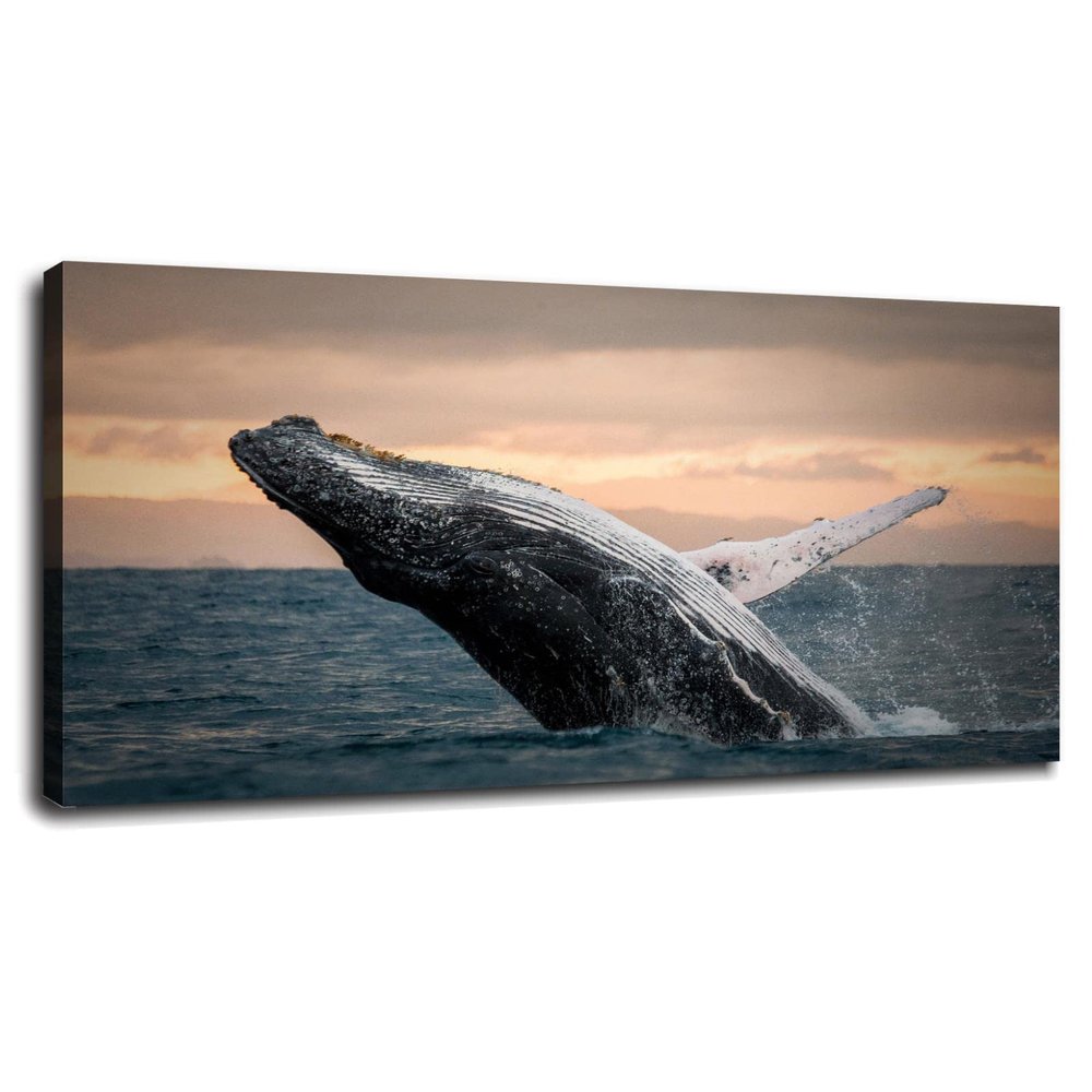 Wall Art for Living Room Bedroom Ocean Blue Whale Pictures Poster Print Animal Canvas Painting Decor With Framed 36"x20"