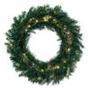 Vickerman 36" Douglas Fir Artificial Pre-Lit Wreath, Warm White 3mm Low Voltage LED Wide Angle Lights. view 4