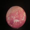 40'' Inflatable Sun, LED Planet Balloon for Educational Institution/Planetarium/Store/Club Decoration view 4